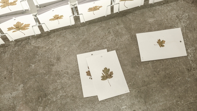 Toutes les feuilles d'un arbre (Œuvres sans artistes) dans The Wrong Gallery (Maurizio Cattelan)